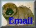 qemail.jpg (2162 bytes)