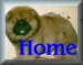 qhome.jpg (2145 bytes)