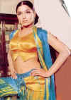 meera16.jpg (39640 bytes)