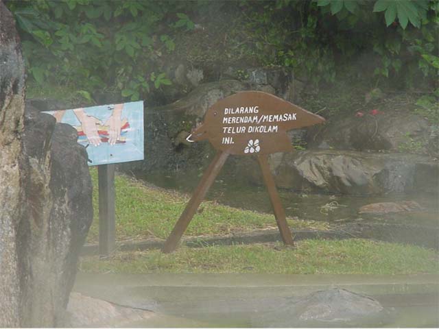 Funny signs!
