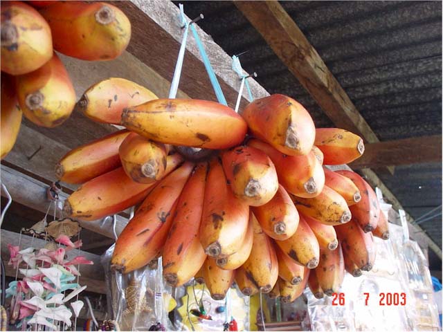 Red Bananas!
