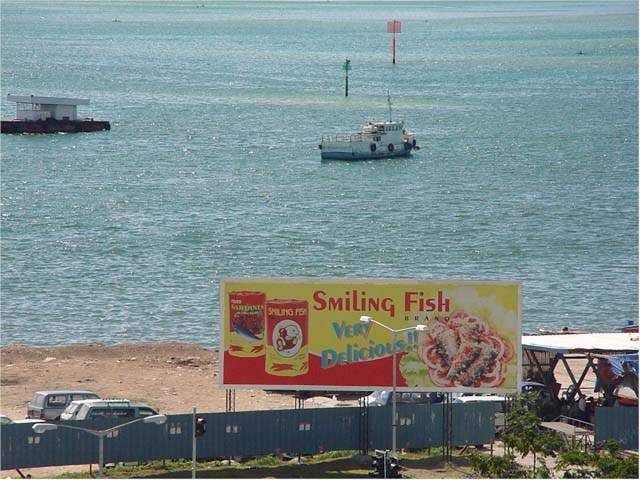 Smiling Fish