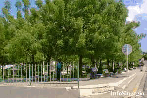 Parque Juan Pablo Duarte