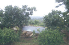 Private Home Villa Cempaga for sale!
