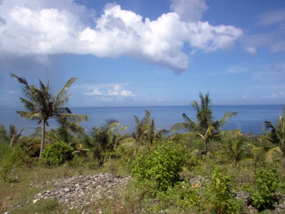 Flatland for sale 19000sqm | 1,90 hectare the best ocean view