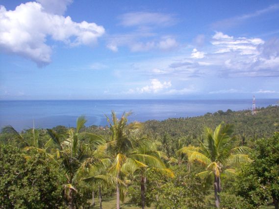 Flatland for sale 19000sqm | 1,90 hectare the best ocean view