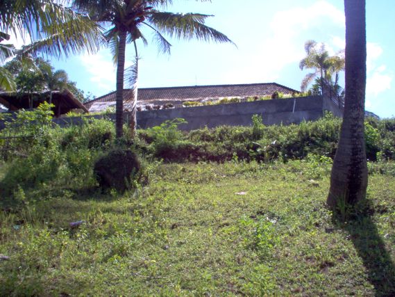 Flatland for sale 19000sqm | 1,90 hectare the best ocean view