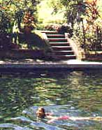 suranadi hotel swimming pool