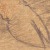 yea..cardboard scribbles... 'tis a brooding Bapho because I was feeling broody (*snicker*) that day :circa 2003