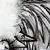 old-old picture of the wind dragon, Aquilon :circa 2001