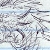 old messy wyvern head sketch :circa 2002