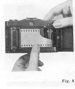 Fig. 8