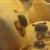 Retarded looking bear cakes found in some cake shop in Causeway Bay