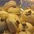 Another shot of the retarded looking bear cakes in a cake shop in Causeway Bay