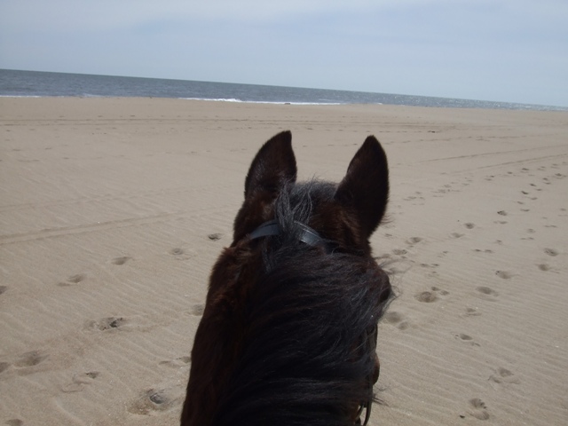 Delight looking over Atlantic
