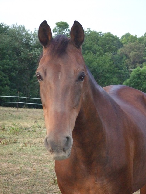 Delight looking at us
