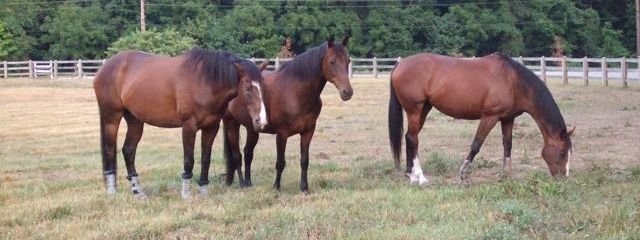Delight and her friends