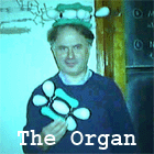 Imagine you're a molecule...