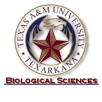 Learn About A&M trip to London!