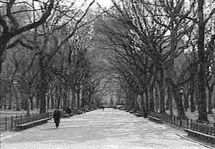 Tell me your name, Im dying here...