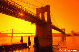 Once so innocent, now Jaded