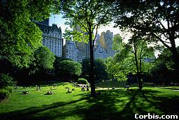 Complicated, X-rated, I want you bad