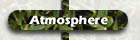 Atmosphere reports