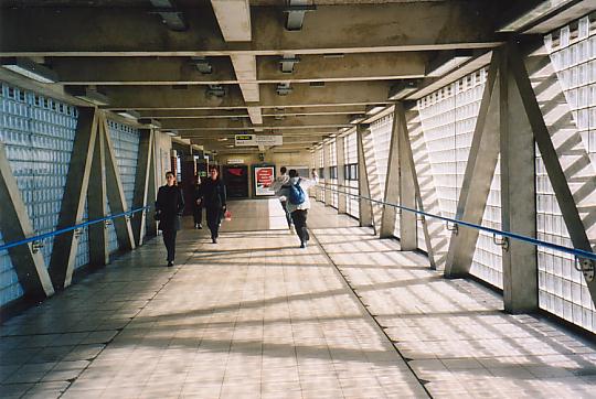 Adz chases Andrew