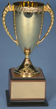 cup.jpg (8749 bytes)