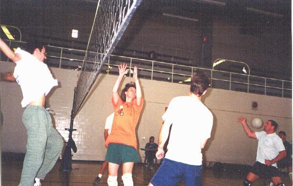 bvolleys1.jpg (476067 bytes)