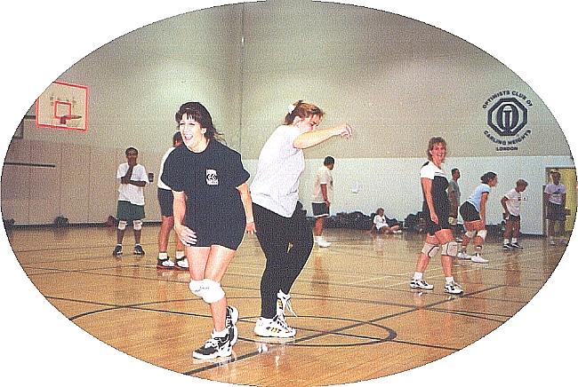 bvolleys3.jpg (246159 bytes)