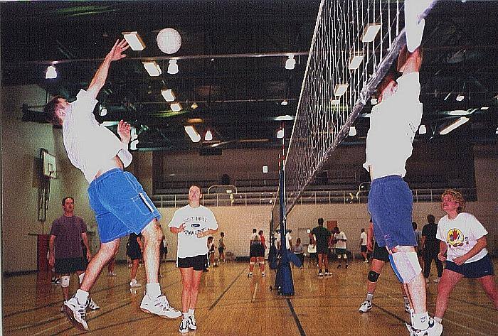 bvolleys7.jpg (470751 bytes)