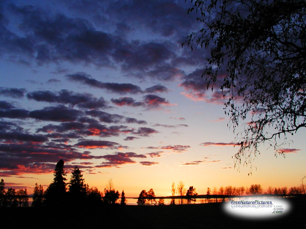 Sunset and Silouette courtesy of free nature pictures.