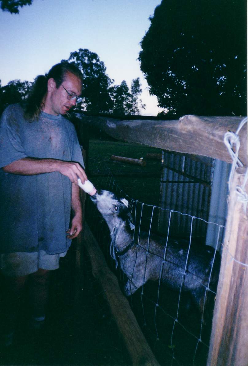 feeding Jenny