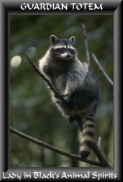 raccoon/totem