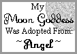 Angel's/Adoptions
