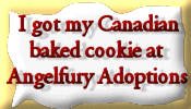 Angelfury/Adoptions
