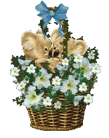 The/SiteFights/Blooming/Baskets