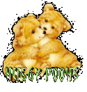 hugging/bears