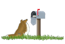 shelties55@yahoo.com