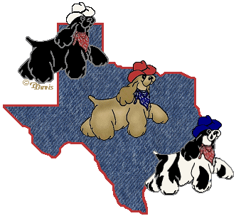 TX 2002 Logo