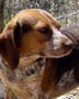  Abbie 