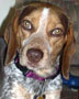  Annie 