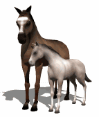 Horses