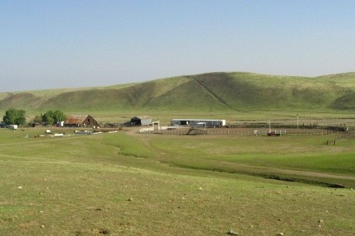 Lone Tree Corrals