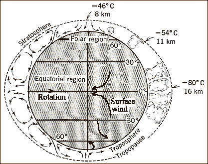 Terrestrial and Solar 
Coriolis weather cells