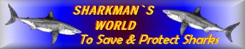 Sharkman's World 