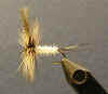 MaryDetteClark_Coffin_Fly_21Jan03_01.jpg (26125 bytes)
