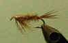MaryDetteClark_Isonychia_Nymph_21Jan03_02.jpg (12605 bytes)