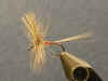 MaryDetteClark_Red_Quill_21Jan03_01.jpg (18315 bytes)